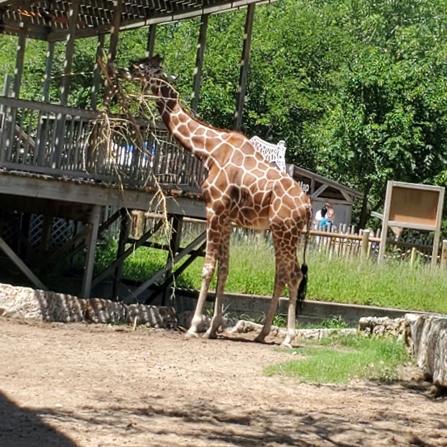 Sedgwick County Zoo 